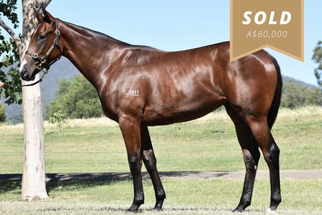 Vancourver-x-Toy-Shop